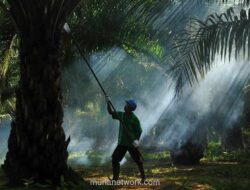 Tiga Direksi PT Prime Agri Resources Tbk Serahkan Pengunduran Diri, Keputusan Ditentukan Lewat RUPS