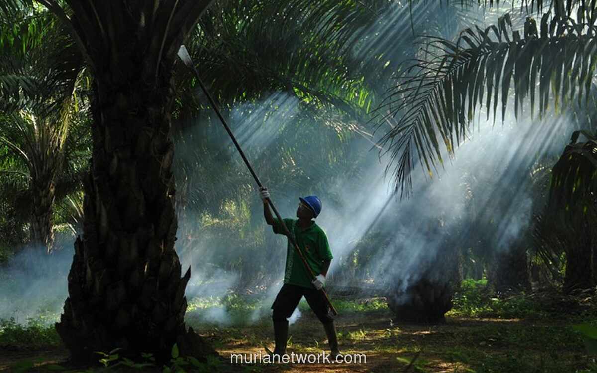 Tiga Direksi PT Prime Agri Resources Tbk Serahkan Pengunduran Diri, Keputusan Ditentukan Lewat RUPS