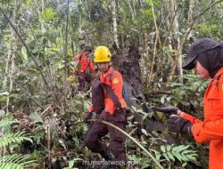 Tim SAR Kerahkan Drone Thermal Cari Remaja 14 Tahun yang Hilang di Hutan Mamuju