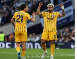 Tottenham Gagal Lepas dari Zona Degradasi Usai Imbang Dramatis Lawan Brighton
