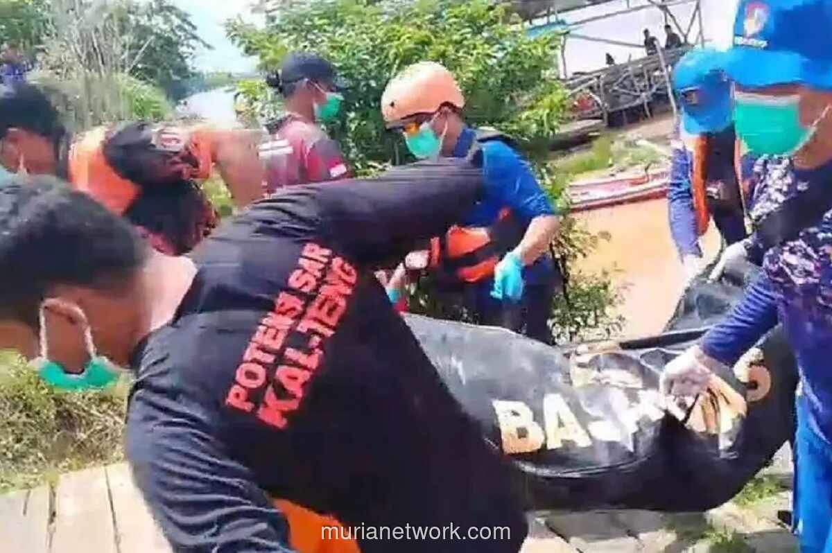 Jenazah Tri Widiatmoko Ditemukan di Sungai Katingan Setelah Tiga Hari Pencarian