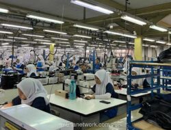 Laba Bersih Trisula International Melonjak 33% pada 2025 Didorong Ekspor