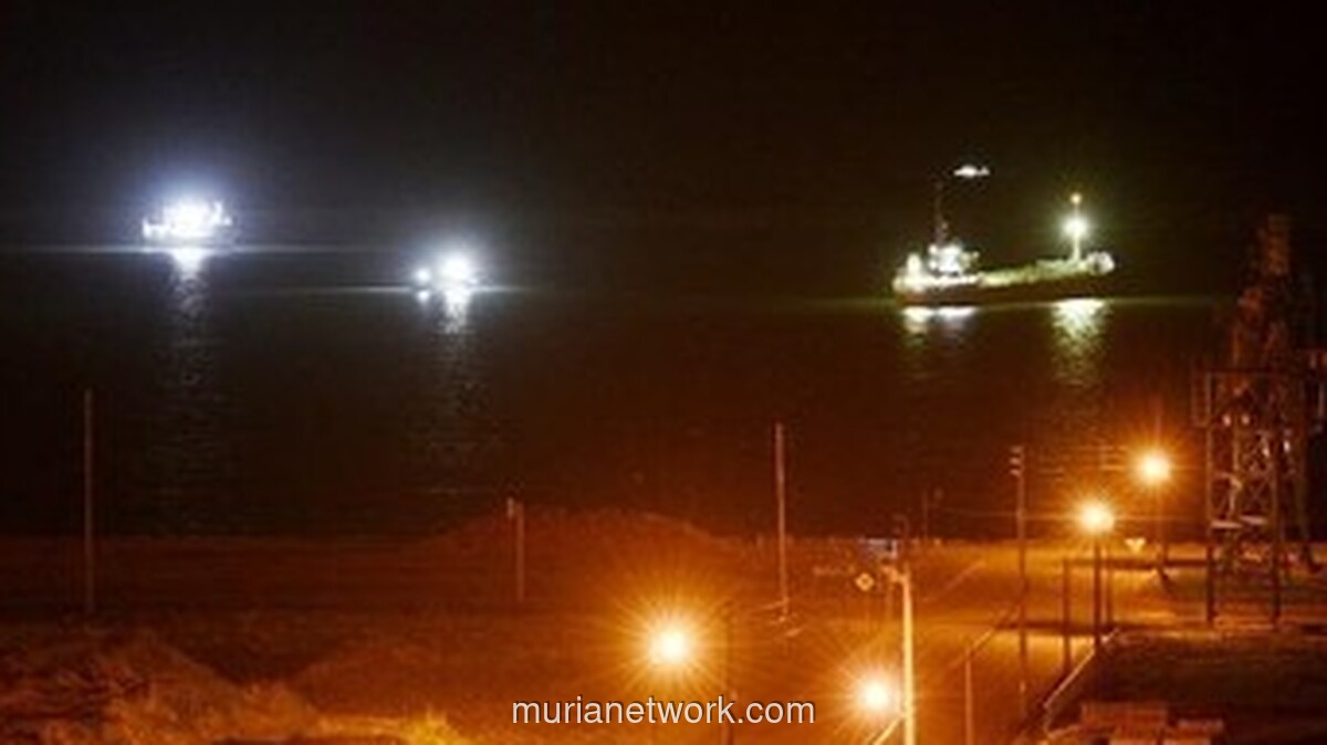 Gempa M7,4 Guncang Jepang Timur, Peringatan Tsunami Dikeluarkan