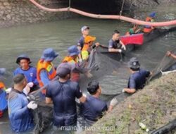 Petugas Jakarta Barat Dapat Apresiasi Rp 25 Ribu per Kg dan Jalan ke Ancol Atas Penangkapan Ikan Sapu-Sapu