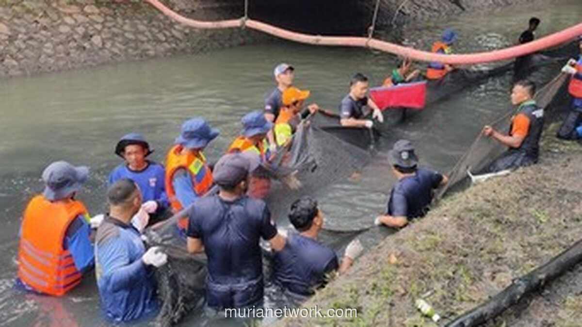 Petugas Jakarta Barat Dapat Apresiasi Rp 25 Ribu per Kg dan Jalan ke Ancol Atas Penangkapan Ikan Sapu-Sapu