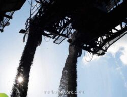 Adaro Lepas Tambang Kestrel, Saham Melonjak dan Dividen Spesial Dijanjikan