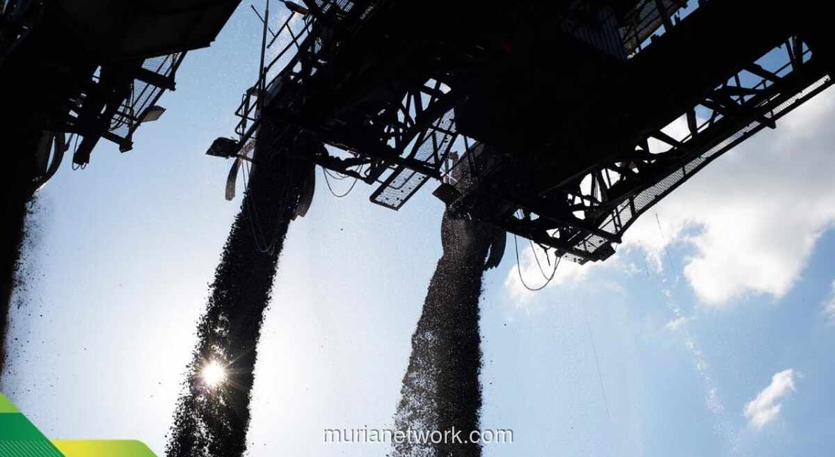 Adaro Lepas Tambang Kestrel, Saham Melonjak dan Dividen Spesial Dijanjikan