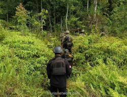 Situasi Yahukimo Kembali Tenang Pasca Kontak Tembak dengan KKB