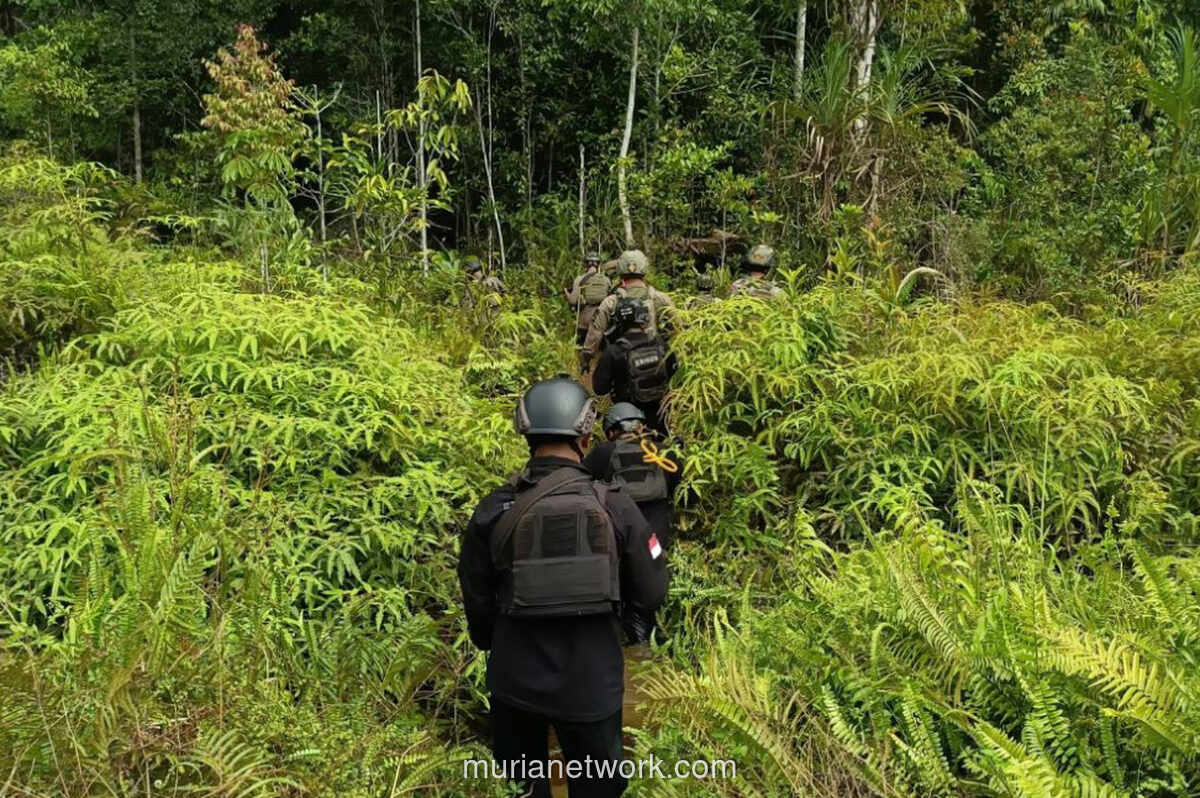 Situasi Yahukimo Kembali Tenang Pasca Kontak Tembak dengan KKB