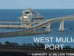 BIPI Mulai Transisi dari Batu Bara ke Energi Hijau, Targetkan Divestasi Anak Usaha