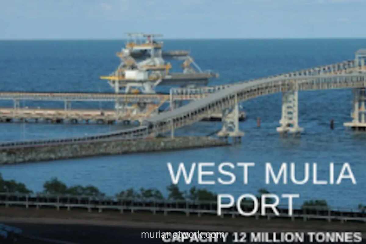 BIPI Mulai Transisi dari Batu Bara ke Energi Hijau, Targetkan Divestasi Anak Usaha