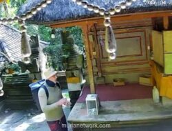 Pria Diduga WNA Terekam CCTV Curi Uang Donasi dari Kotak Amal Pura Goa Gajah, Polisi Buru Pelaku