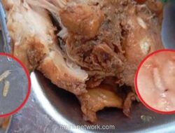 Penyelenggara MBG di Lembata Bantah Tuduhan Ulat dalam Daging Ayam, Minta Pemeriksaan Lab