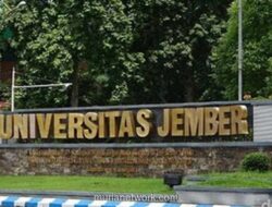 Dugaan Pelecehan Seksual Mahasiswi Unej, Pelaku Terancam Dipecat