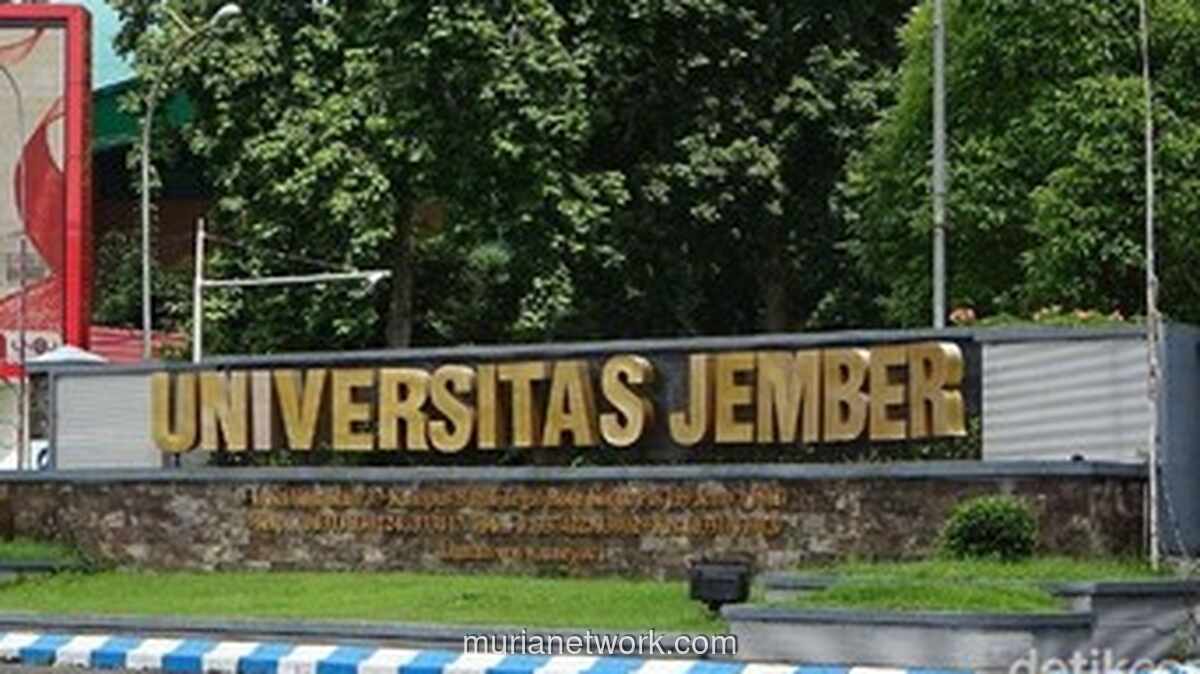 Dugaan Pelecehan Seksual Mahasiswi Unej, Pelaku Terancam Dipecat