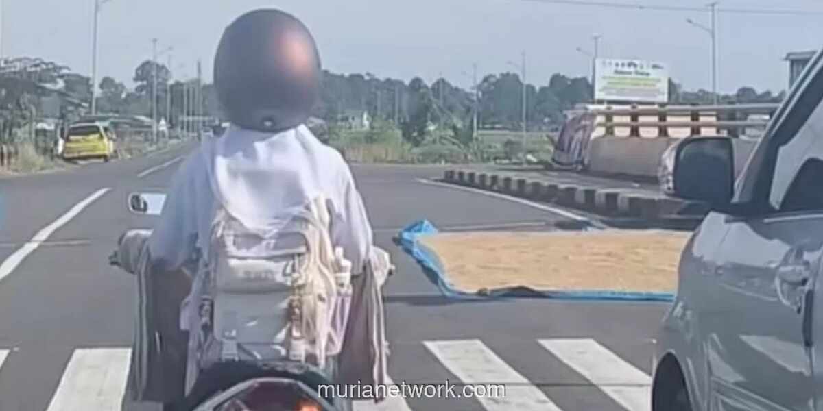 Warga Jemur Gabah di Badan Jalan Bypass Mamminasata, Lalu Lintas Tetap Ramai