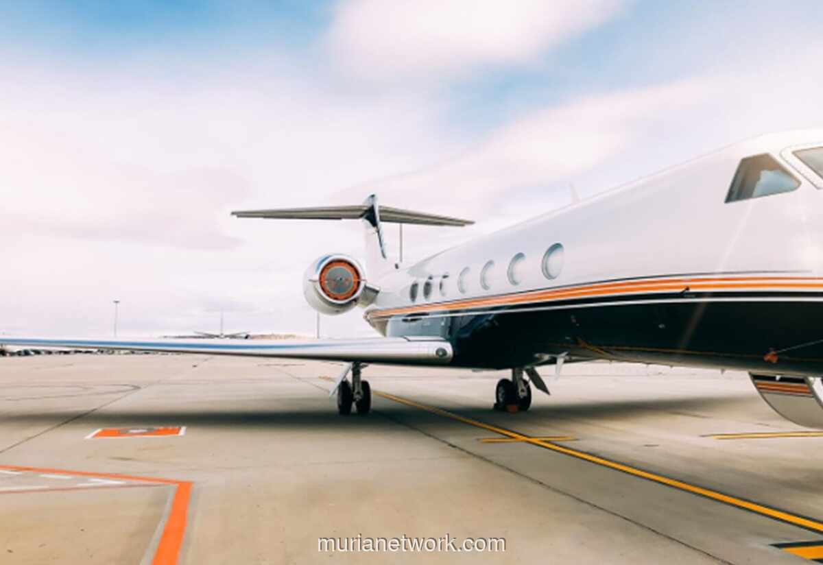 Wamenhub: Dampak Perang AS-Israel-Iran Tak Terasa, Penerbangan Domestik Tetap Tumbuh