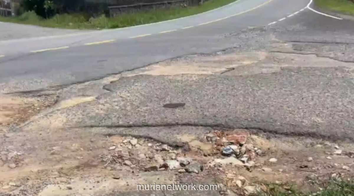 Jalan Rusak dan Minim Penerangan di Toapaya Bintan Dikeluhkan Warga, Rawan Kecelakaan