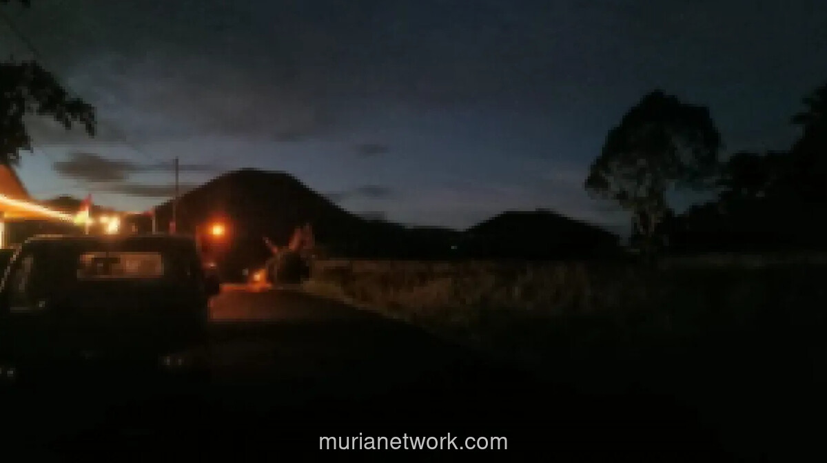 Badan Geologi Ingatkan Warga Tomohon Waspadai Gas Beracun dan Erupsi Freatik Gunung Lokon