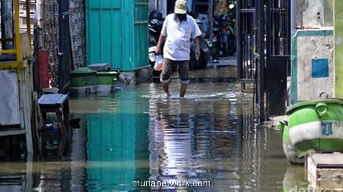 BMKG Peringatkan Potensi Banjir Rob di Pesisir Indonesia hingga Akhir April 2026