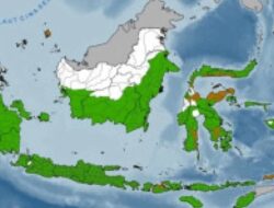 BMKG Waspadai Kemarau Lebih Panjang dan Kering pada 2026 Didorong El Nino
