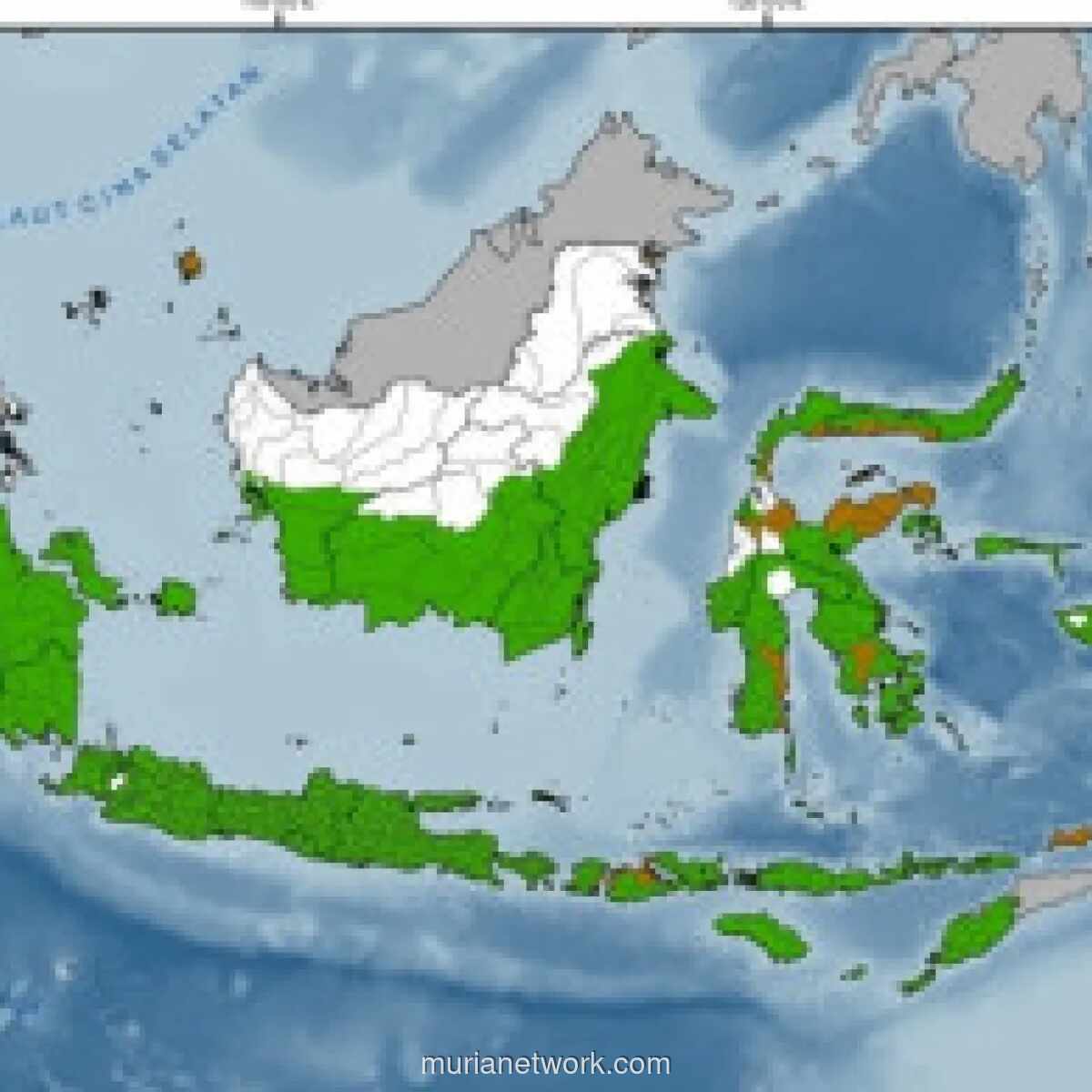 BMKG Waspadai Kemarau Lebih Panjang dan Kering pada 2026 Didorong El Nino
