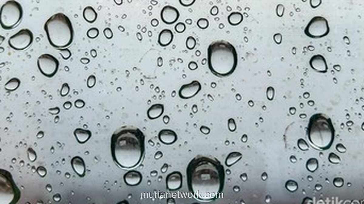 BMKG Peringatkan Potensi Hujan Sedang-Lebat di Jakarta pada 17-21 April 2026