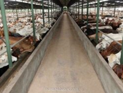 WMPP Gelar Rights Issue untuk Perbaiki Struktur Utang Rp4,04 Triliun