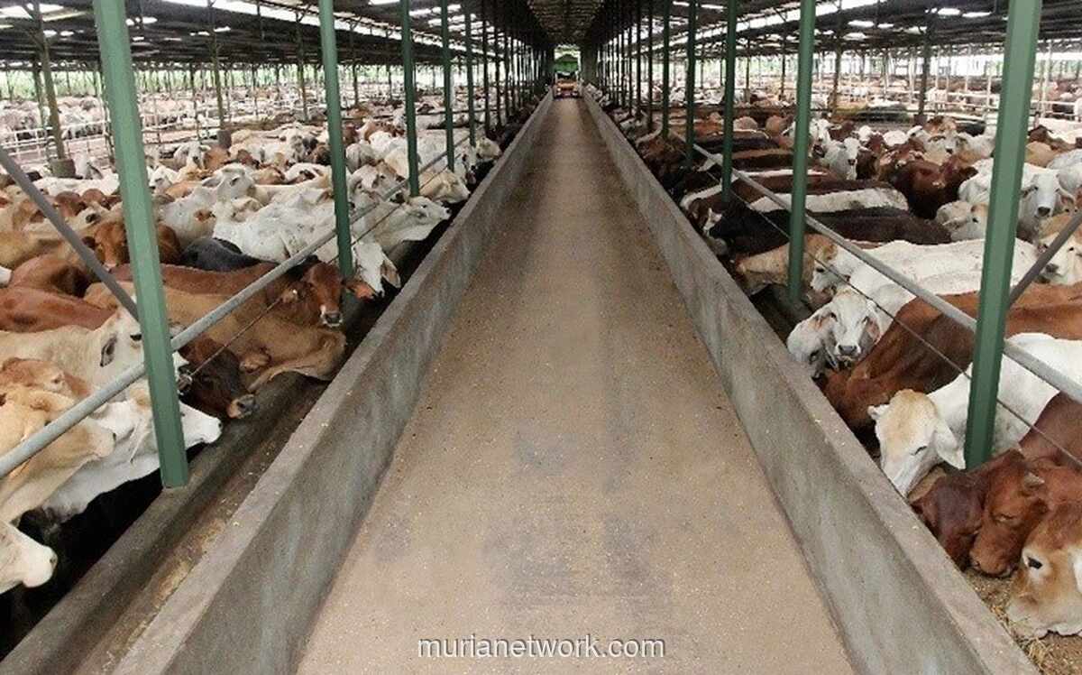 WMPP Gelar Rights Issue untuk Perbaiki Struktur Utang Rp4,04 Triliun