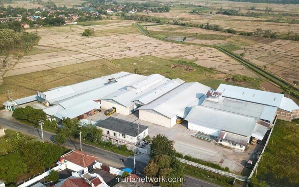 WMUU Bakal Rights Issue Rp600 Miliar, Harga Penawaran Lebih Tinggi dari Pasar