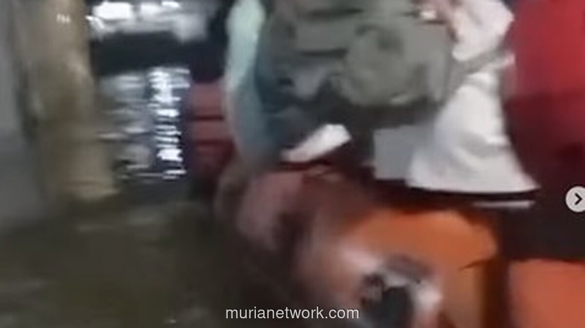 Banjir di Tangerang Selatan Mulai Surut, Longsor Terjang Rumah Warga di Cipayung