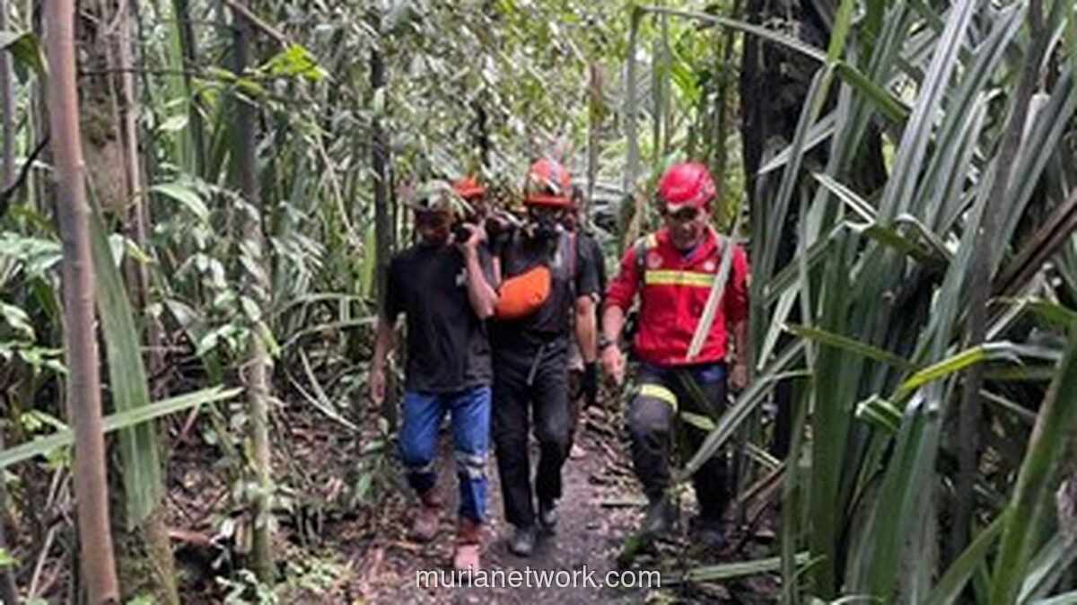 Tim SAR Temukan Dua WNA Singapura Meninggal Akibat Erupsi Gunung Dukono, Evakuasi Terkendala Material Vulkanik