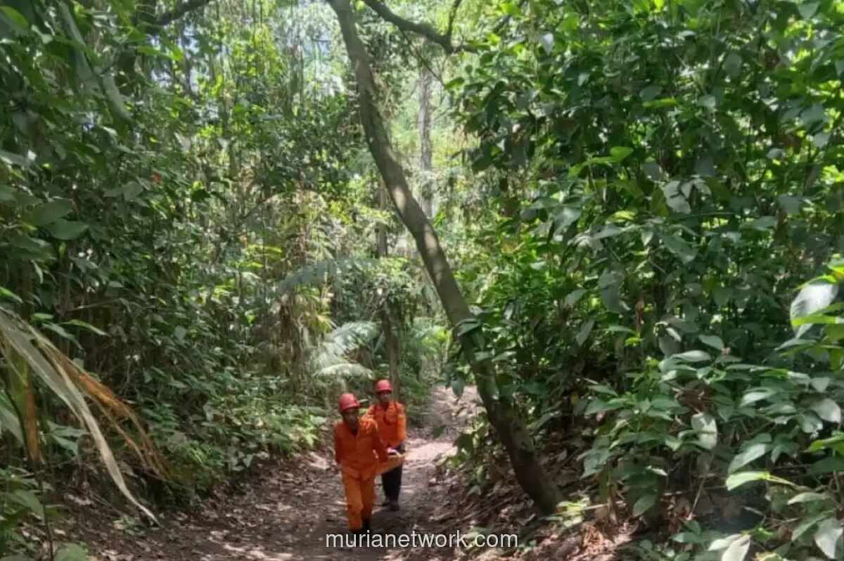 SAR Gabungan Evakuasi 20 Pendaki yang Terjebak Erupsi Gunung Dukono, Satu WNA Asal Singapura