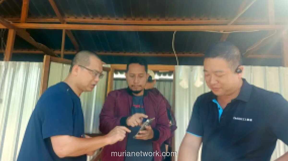 24 WNA Tiongkok Diamankan Imigrasi di Tambang Emas Ilegal Gunung Botak, Buru