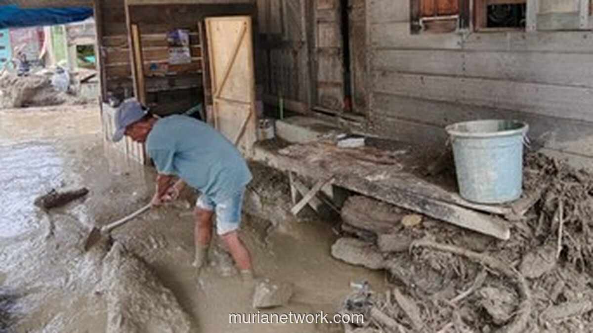 Banjir Bandang di Aceh Tenggara Rusak 26 Rumah, Akses Jalan Nasional Lumpuh