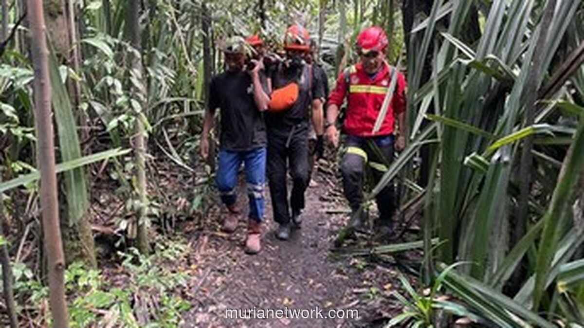 Tiga Pendaki Tewas Tertimbun Material Vulkanik saat Erupsi Gunung Dukono, Dua di Antaranya WNA Singapura