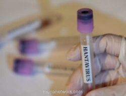 Empat ABK Suspect Hantavirus di Jakarta Barat Dinyatakan Negatif