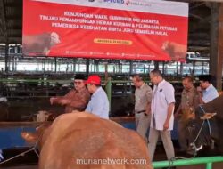 Pemprov DKI Siapkan 744 Petugas Awasi Penyembelihan 68 Ribu Hewan Kurban saat Iduladha 2026