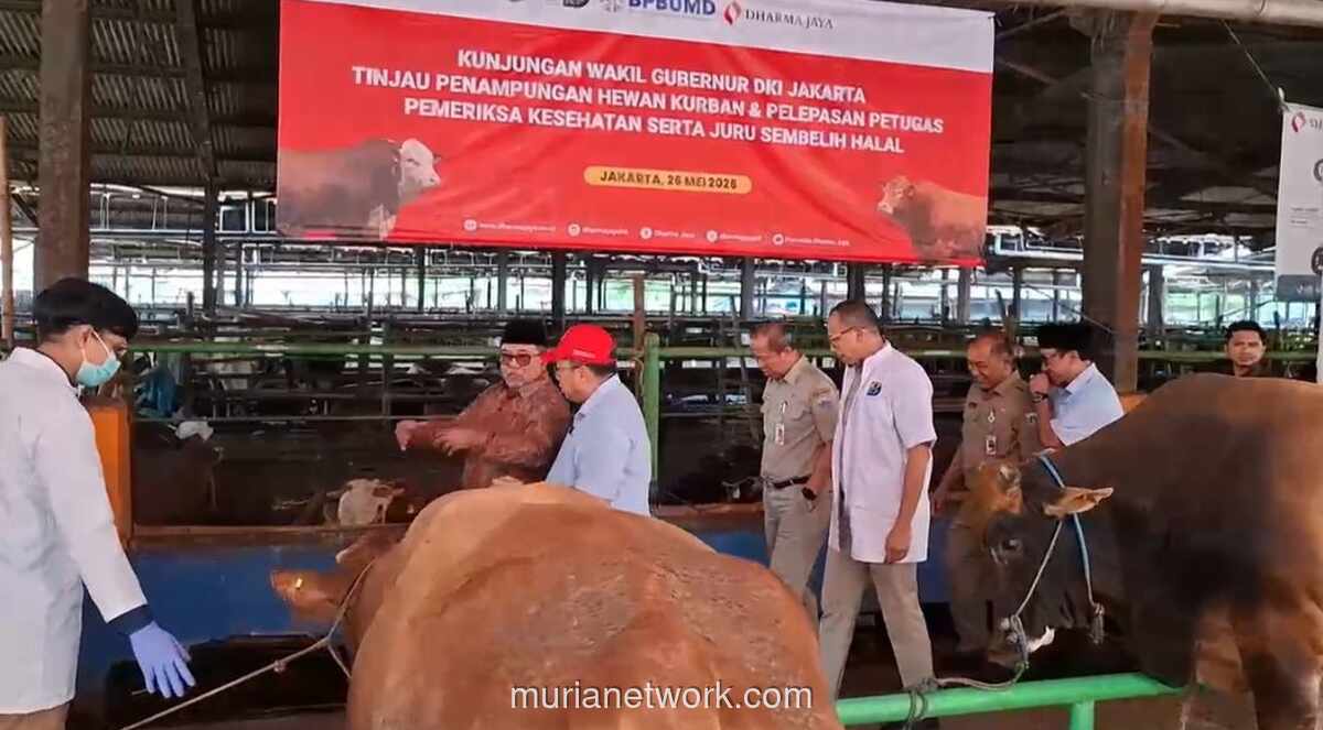 Pemprov DKI Siapkan 744 Petugas Awasi Penyembelihan 68 Ribu Hewan Kurban saat Iduladha 2026