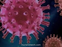 Ahli Epidemiologi UI: Virus Hanta Bukan Fenomena Baru di Indonesia, Kasus Ditemukan Setiap Tahun