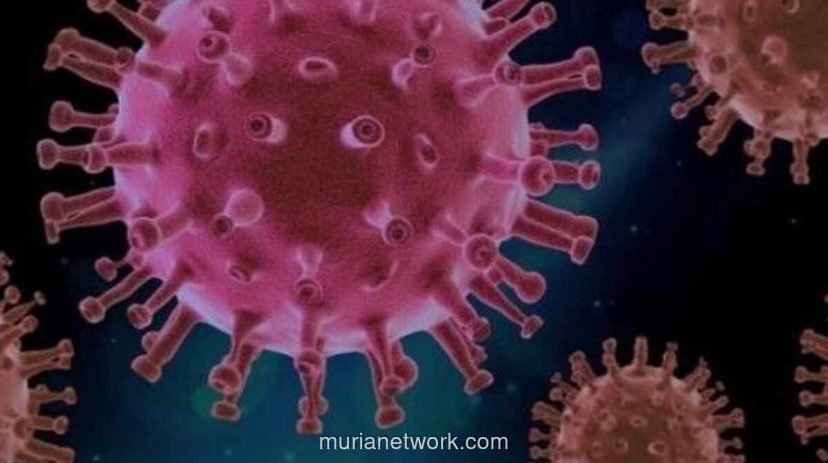 Ahli Epidemiologi UI: Virus Hanta Bukan Fenomena Baru di Indonesia, Kasus Ditemukan Setiap Tahun