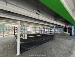 Kolong Flyover Pasar Rebo Disulap Jadi Arena Tinju untuk Cegah Tawuran