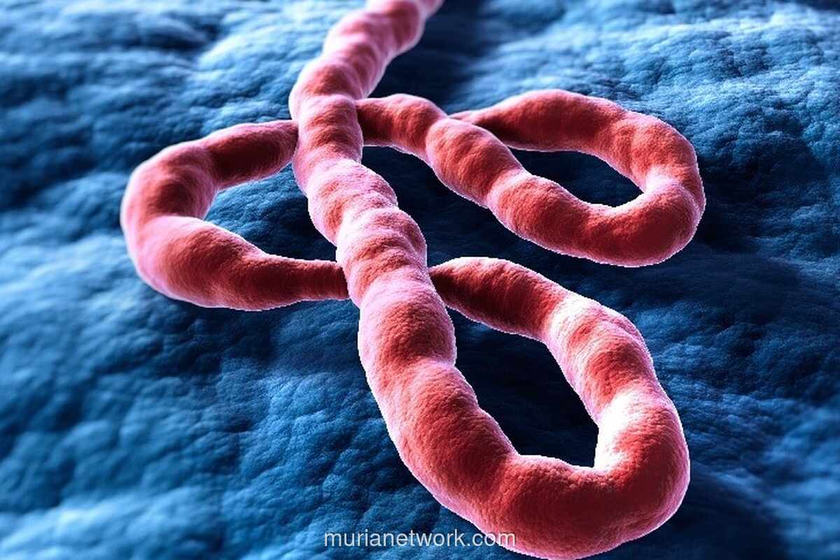WHO Tetapkan Wabah Ebola Strain Bundibugyo di Kongo dan Uganda sebagai Darurat Kesehatan Global