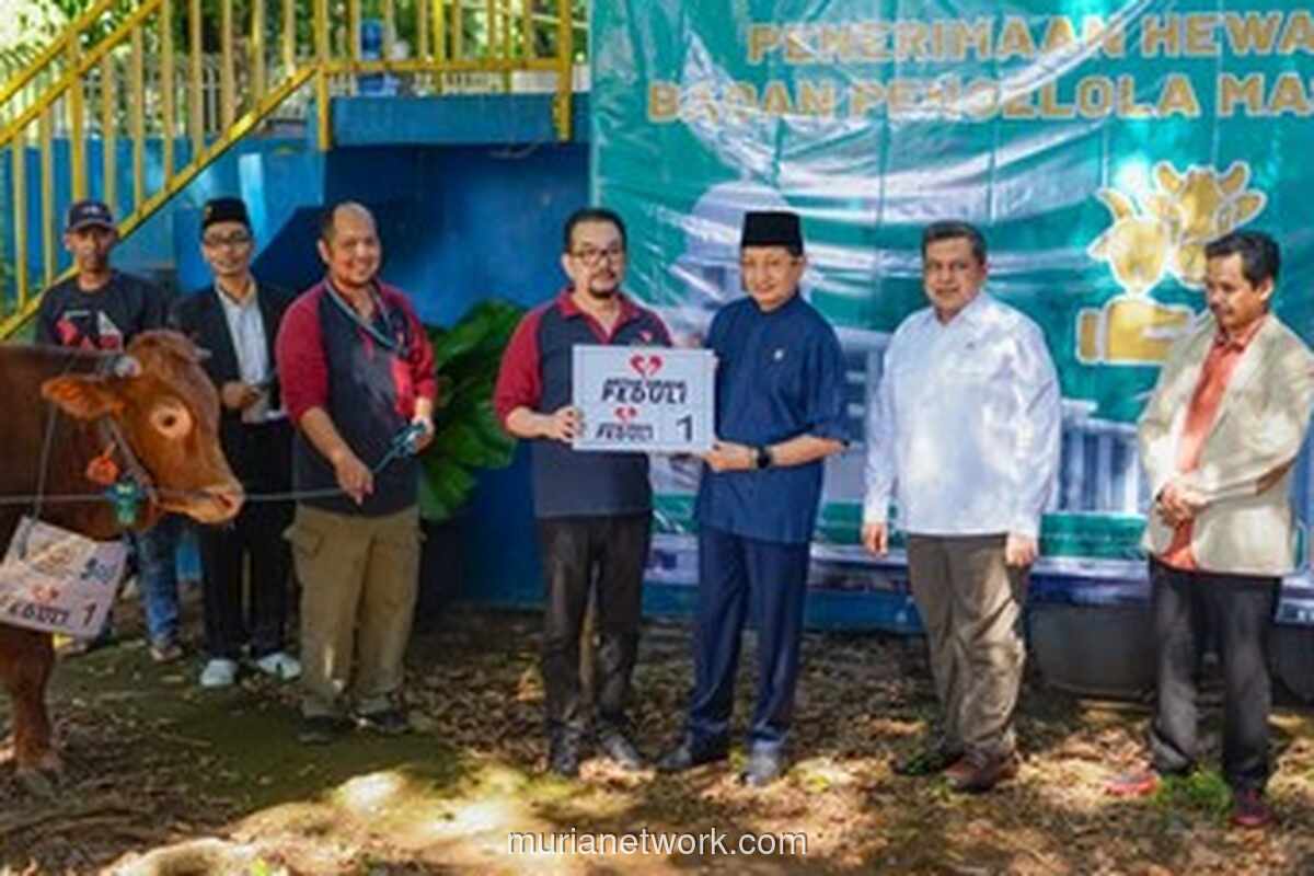Artha Graha Peduli Salurkan Ratusan Hewan Kurban ke Berbagai Wilayah Indonesia, Masjid Istiqlal Jadi Salah Satu Prioritas