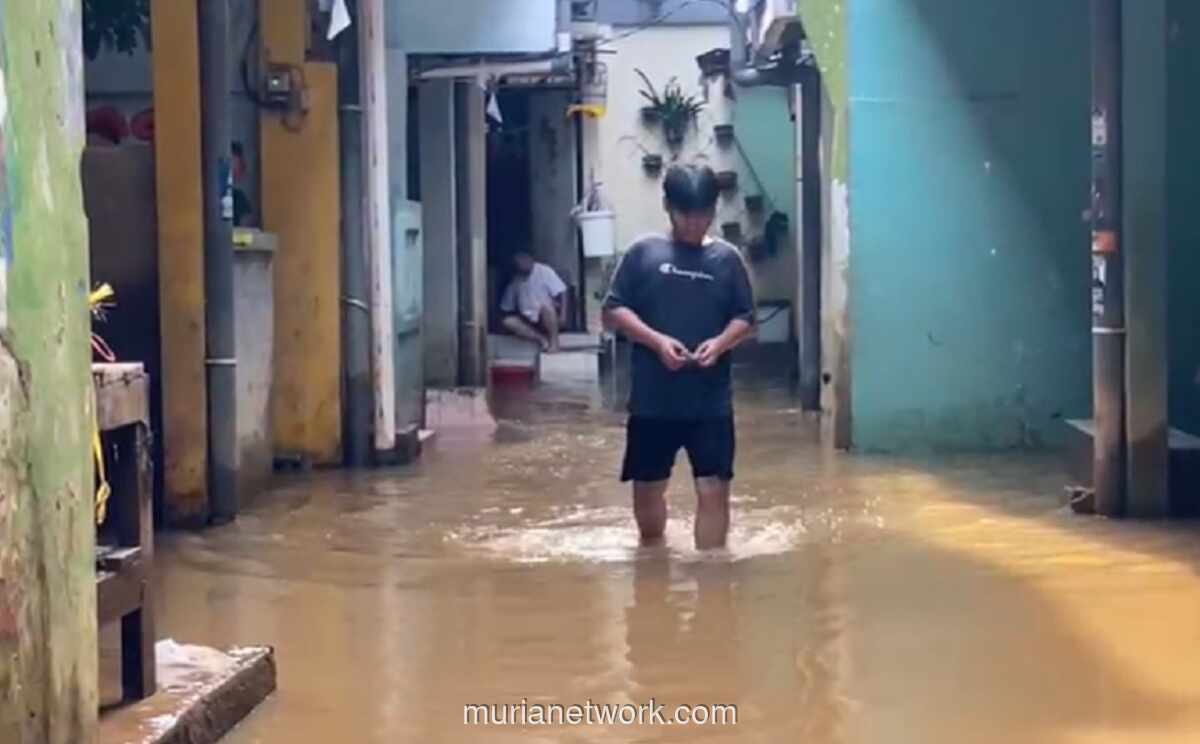 Banjir Setinggi 1,6 Meter Rendam Kebon Pala Jakarta Timur, 246 Jiwa Terdampak