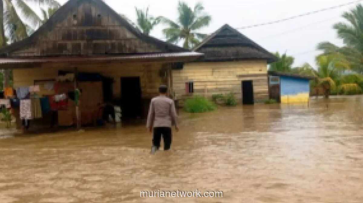 Banjir Luapan Sungai Konaweha Rendam 188 Rumah di Tiga Desa Kolaka, Polisi Evakuasi Warga