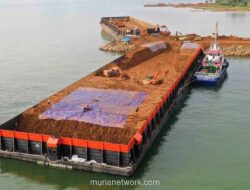 PT Daaz Bara Lestari Nilai Kebijakan Ekspor Satu Pintu Tak Berdampak Material pada Kinerja