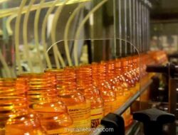 BISI International Bagikan Dividen Rp78 Miliar untuk Tahun Buku 2025