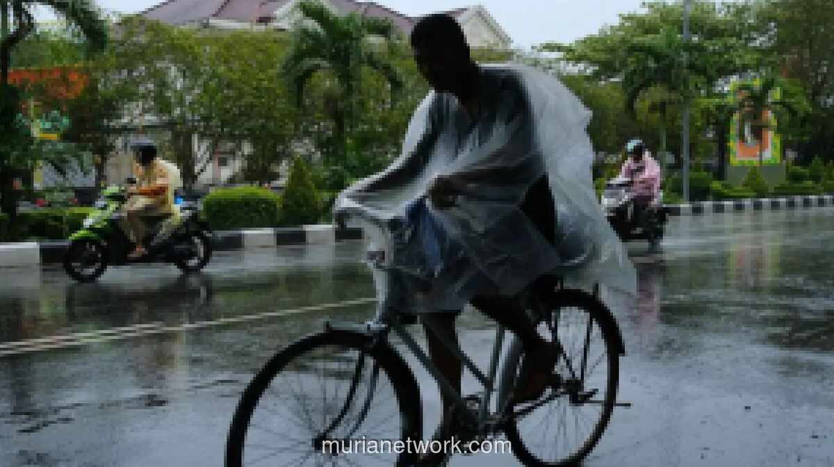 BMKG: Sebagian Besar Kota Besar di Indonesia Diguyur Hujan Ringan hingga Sedang Hari Ini