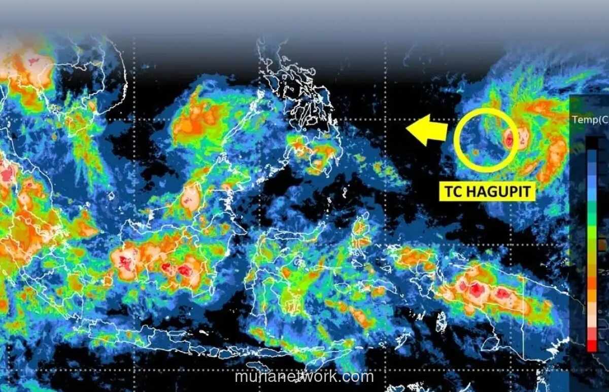 BMKG Peringatkan Dampak Siklon Tropis Hagupit, Hujan Lebat dan Gelombang Tinggi Ancam Wilayah Timur Indonesia